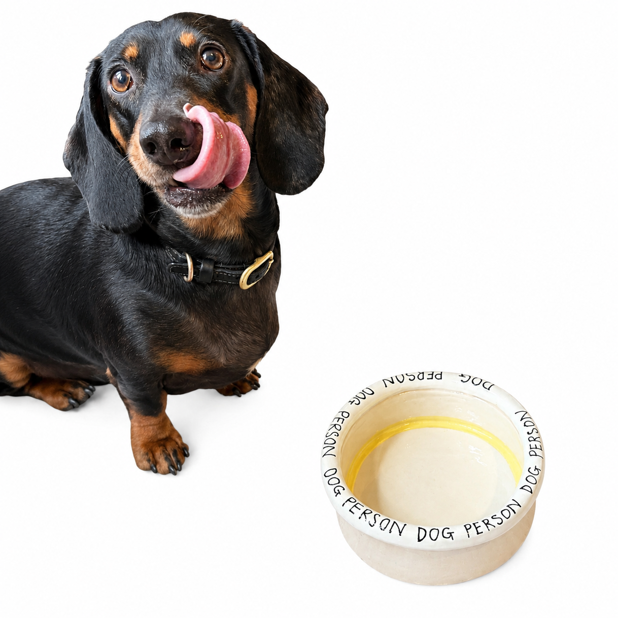 Dog Person Dog Bowl